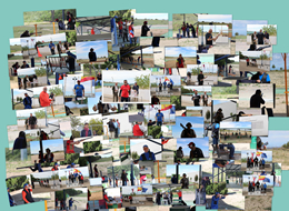 Collage  - XXXVI TROFEO DIPUTACIÓN 125 - PLATOS F.O.  (19-04-2015) - Club de tiro la bastida